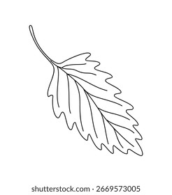 Leaf simple outline hand drawn doodle vector illustration, floral botanical minimalist image for environment projects, nature concept, coloring page, scrapbooking, line art sketch