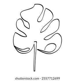 leaf simple sketch vector single or continuous line art