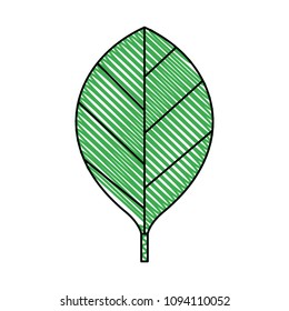 leaf single decorative icon