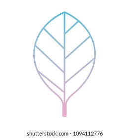 leaf single decorative icon