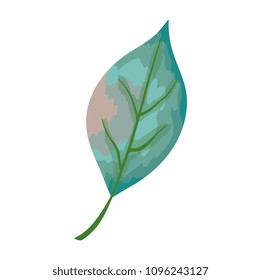 leaf single decorative icon