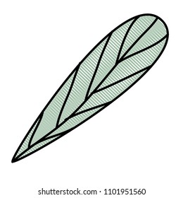 leaf single decorative icon