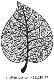 Leaf skeleton silhouette