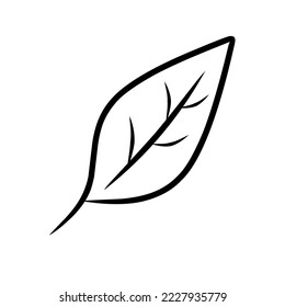 leaf sketch design to coloring