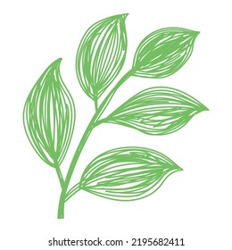 Leaf sketch. Hand drawn vector illustration. Pen or marker doodle plant