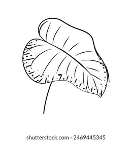 Leaf sketch icon Vector illustration