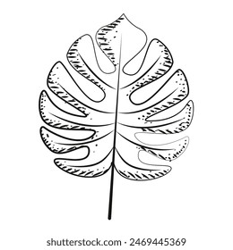 Vektorillustration des Blattskizzensymbols