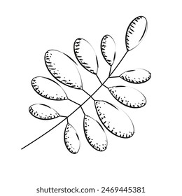 Vektorillustration des Blattskizzensymbols