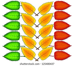 Leaf sketch vector illustration
