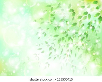 Leaf sky landscape