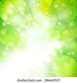 Leaf sky landscape