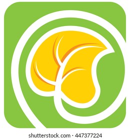 Leaf of some plant. Graphical symbol for use in logotype, emblem, insignia etc. Vector illustration