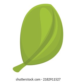 Leaf spice icon cartoon vector. Herb plant. Aroma food