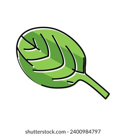 vector de icono de color de espinaca hoja. signo de espinaca de hoja. ilustración de símbolo aislado