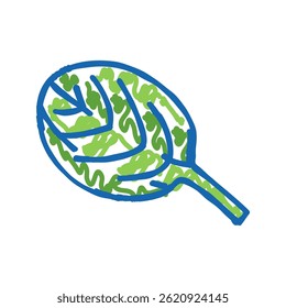 leaf spinach doodle icon sketch vector. leaf spinach sign. isolated symbol illustration
