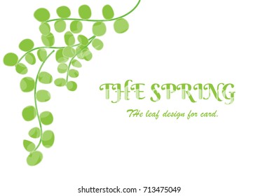 The leaf spring card. Leaf ivy and green text on card design. The green card is vector for card.