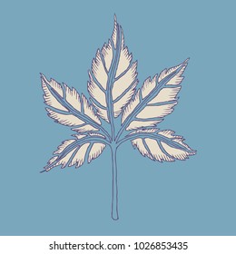 Leaf spring card vector template