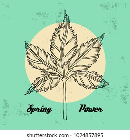 Leaf Spring Poster Vector Template