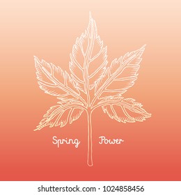 Leaf Spring Poster Vector Template
