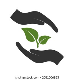 leaf, sprout of green color between hands, in hands, logo icon design with white background and simple style. A symbol of life, protection and care for nature and the environment