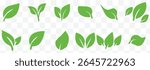 Leaf sprout icon vector set, green leaves plant eco logo symbol simple graphic illustration set, vegan fresh herb pictogram shape sign, organic natural healthy logotype eps 10