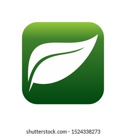 Leaf Square Eco and Nature Vector Icon 