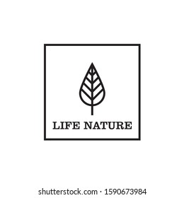 leaf in square logo vector illustration