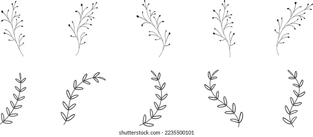 Leaf stalk floral lines minimalist