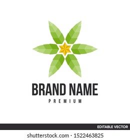 leaf and star logo modern geometric
