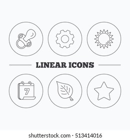 Leaf, star and sun icons. Pacifier linear sign. Flat cogwheel and calendar symbols. Linear icons in circle buttons. Vector