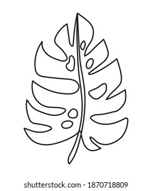 leaf with stem in a white background vector illustration design