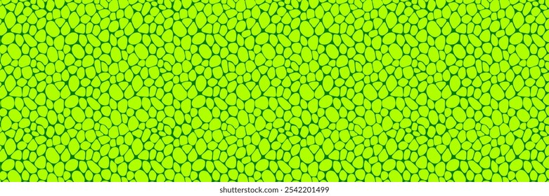 Leaf structure close up vector illustration. Green cell background. Plant template texture for eco banners, organic, agro and scientific designs, biology covers. Fresh natural wallpaper