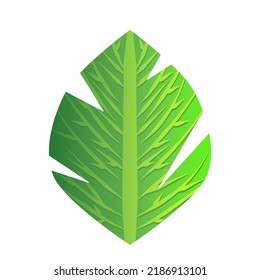 A leaf is suitable for complementing social media image posts 
