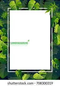 leaf summer backgrounds vectors