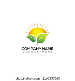 Leaf and sun logo design vector illustration