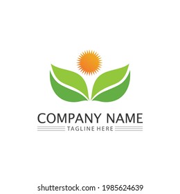LEAF AND SUN NATURE TREE LOGO FOR BUSINESS VECTOR GREEN PLANT ECOLOGY DESIGN ICON