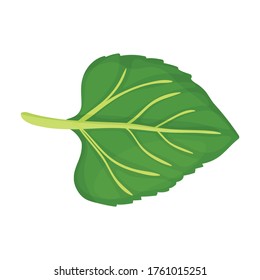 Hoja del icono del vector del girasol.Icono del vector de dibujos animados aislado sobre la hoja de fondo blanca del girasol.