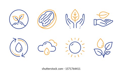 Leaf, Sunny weather and Rainy weather line icons set. Refill water, Fair trade and Startup signs. Pecan nut, Plants watering symbols. Plant care, Sun. Nature set. Line leaf icon. Vector