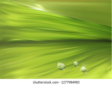 leaf surface with drops. abstract background in 10 EPS