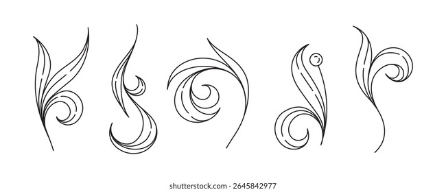 Conjunto de decorações de espiral de folha. Ornamentos botânicos vetoriais graciosos com fluxo natural.