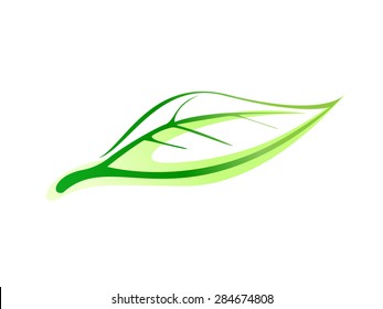 leaf symbol icon vector conceptual illustration