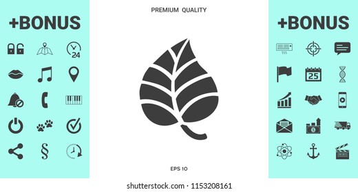 Leaf symbol logo.