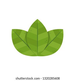 Leaf symbol. logo design.