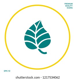 Leaf symbol logo. Graphic elements for your design