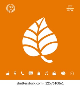 Leaf symbol logo. Graphic elements for your design