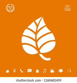 Leaf symbol logo. Graphic elements for your design