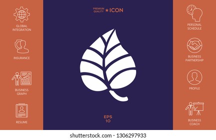 Leaf symbol logo. Graphic elements for your design