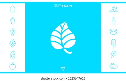 Leaf symbol logo. Graphic elements for your design