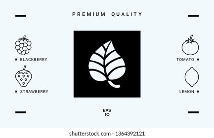 Leaf symbol logo. Graphic elements for your design