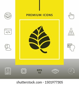 Leaf symbol logo. Graphic elements for your design